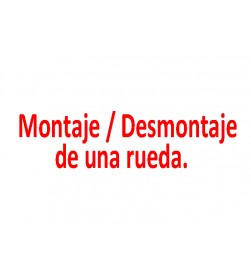 Montaje de 1 Rueda Montaje de 1 Rueda