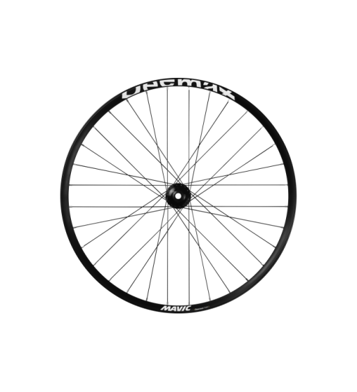 Rueda delantera Mavic Deemax Park 26" 20x110 para descenso
