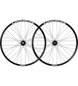 Pareja de ruedas Mavic Deemax Park 29" 15x110/12x148 XD para descenso