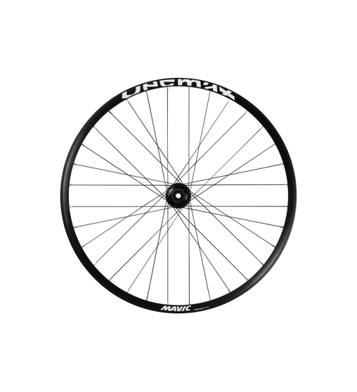 Rueda trasera Mavic Deemax Park 29" 12x157 HG para descenso