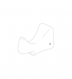 hover image